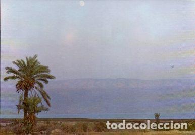 Postales: POSTAL PV07518: The Dead Sea, Jericho - Foto 1