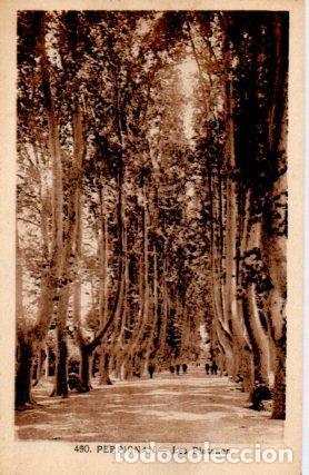 Postales: POSTAL PV08337: Les Platanes, Perpignan - Foto 1