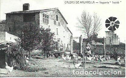 Postkarten: POSTAL A1797: Caldes de Malavella, vagueria Texido - NULL