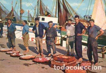 Postkarten: POSTAL PV09129: Pescadores y barcas pesqueras en Tarragona - NULL
