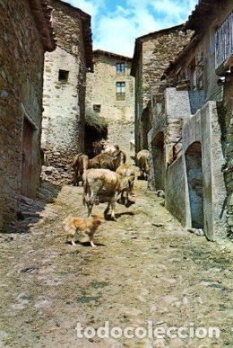 Postkarten: POSTAL PV09224: Calle tipica en Tragura, Gerona - NULL