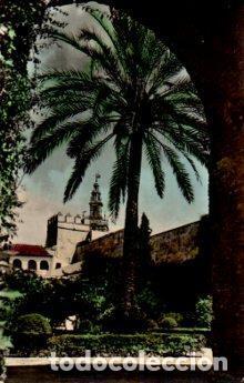 Postcards: POSTAL PV09168: Rincon del Jardin del Alcazar, Sevilla - NULL