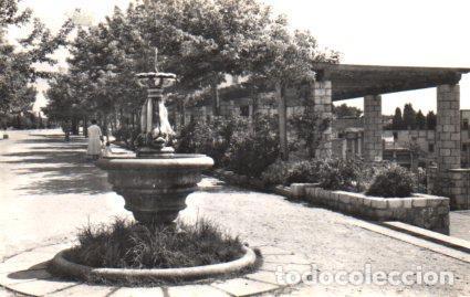 Postkarten: POSTAL PV08825: Paseo San Antonio, Tarragona - NULL