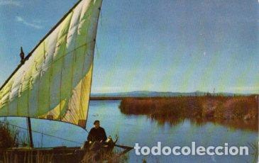 Postcards: POSTAL PV08869: Lago de la Albufera, Valencia - NULL