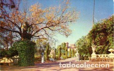 Postcards: POSTAL PV08853: Jardines del Real, Valencia - NULL