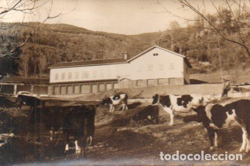 Postkarten: POSTAL PV01226: Refugio Clave en Planolas, Gerona - NULL