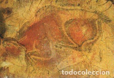 Postais: POSTAL PV09604: Bisonte en Cuevas de Altamira, Santillana del Mar