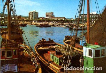 Postales: POSTAL PV00812: Barcos de pesca en Palamos - Foto 1