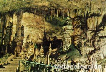 Postcards: POSTAL PV10134: Cuevas del Drach en Mallorca. Monje y cactus - NULL