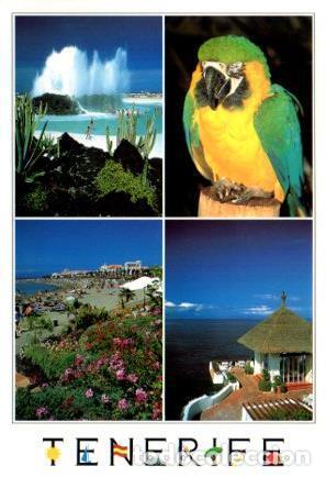 Cartoline: POSTAL PV11903: Lago Martianez, Loro Parque y Playa de las Americas, Tenerife - NULL