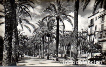 Postales: POSTAL PV11224: Paseo de Sagrera, Mallorca - Foto 1