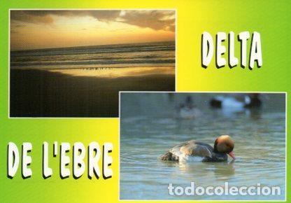 Cartes Postales: POSTAL PV11411: Delta de l'Ebre, Tarragona - NULL