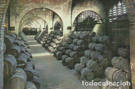 Postales: POSTAL PV11304: Cavas Codorniu una bodega - Foto 1