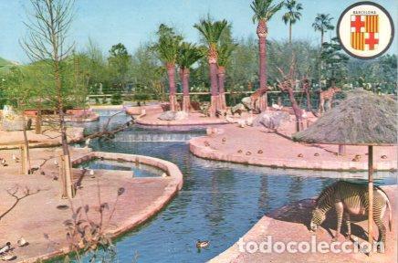 Postais: POSTAL PV01564: Parque Zoologico, Barcelona - NULL