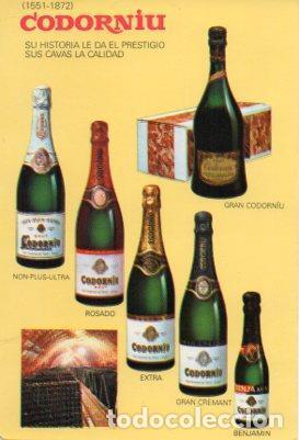Postales: POSTAL PV01851: Publicidad Codorniu cavas - NULL