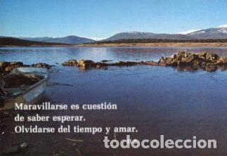 Postcards: POSTAL PV12725: Maravillarse es cuestion de saber esperar por H. S. - NULL