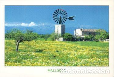 Postales: POSTAL PV12670: Molino en Mallorca - Foto 1