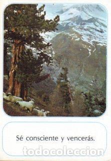 Postkarten: POSTAL PV12717: Postal de la amistad num. 16 - NULL