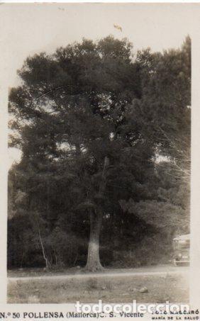 Postales: POSTAL PV03324: C. S. Vicente en Pollensa - Foto 1