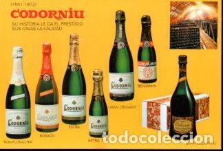 Postales: POSTAL PV12572: Publicidad cava Codorniu - Foto 1