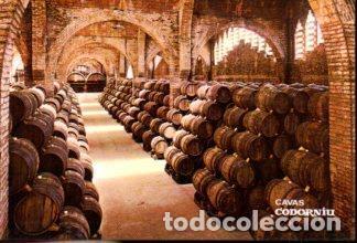 Postales: POSTAL PV12573: Bodega Cavas Codorniu - Foto 1