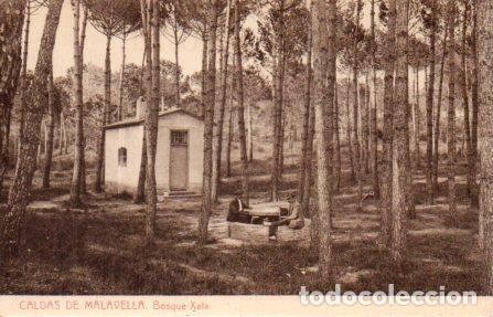 Postales: POSTAL PV03679: Bosque Xala en Caldas de Malavella - Foto 1