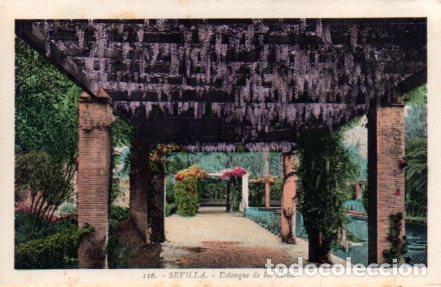 Cartoline: POSTAL PV03785: Sevilla. Estanque de los Lirios - NULL