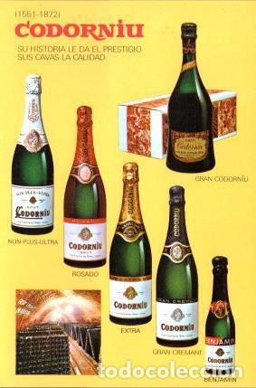 Postales: POSTAL PV13309: Codorniu botellas de cava - NULL