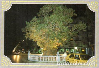 Postkarten: POSTAL PV13340: Passeig Maritim, Pineda de Mar - NULL