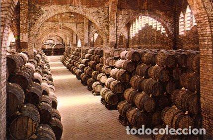 Postales: POSTAL PV13308: Cavas Codorniu. Una bodega - Foto 1