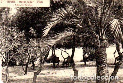 Postales: POSTAL PV03475: Pinar del Hotel Subur en Sitges - Foto 1
