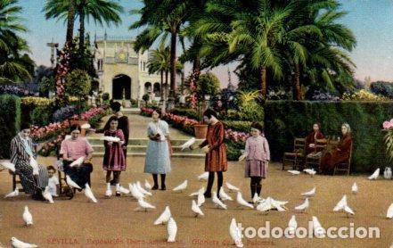 Postcards: POSTAL PV03594: Sevilla. Exposicion Ibero Americana, Glorieta de las Palomas - NULL