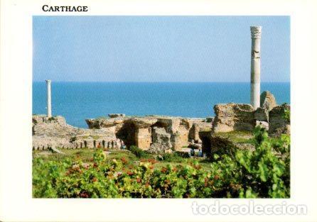 Cartoline: POSTAL PV04552: Les Thermes d'Antonin, Carthage, Tunisie - NULL