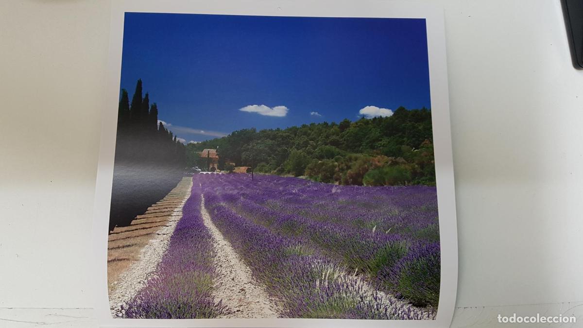 Postales: Calendario / Kalender / Calendrier / Calendar: 2011 : Provence (Roberto della vite) - lamina 01 - va