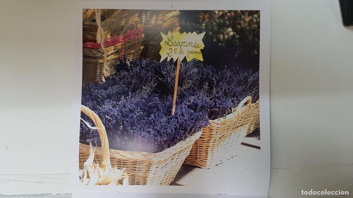 Postais: Calendario / Kalender / Calendrier / Calendar: 2011 : Provence (Roberto della vite) - lamina 06 - va