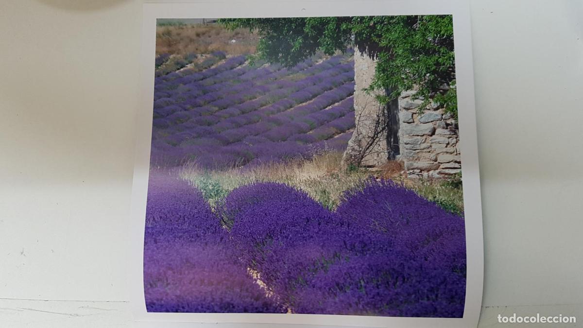 Postales: Calendario / Kalender / Calendrier / Calendar: 2011 : Provence (Roberto della vite) - lamina 02 - va
