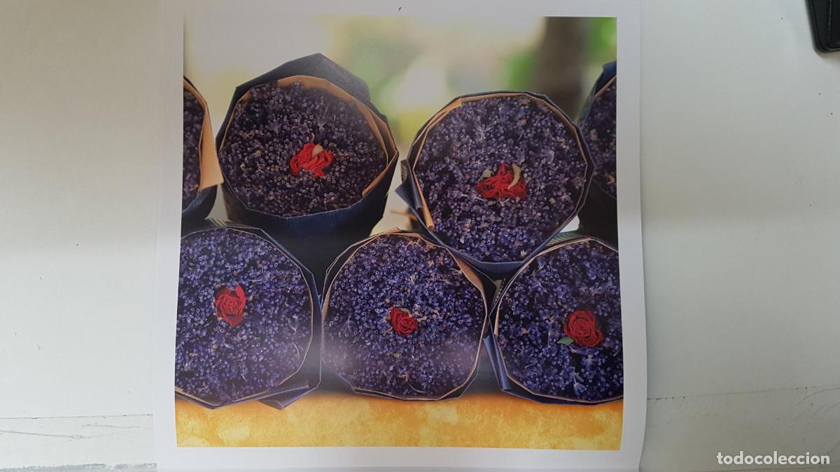 Postcards: Calendario / Kalender / Calendrier / Calendar: 2011 : Provence (Roberto della vite) - lamina 07 - va