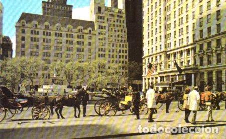 Postkarten: POSTAL PV04311: The famous horse and carriages, New York - NULL