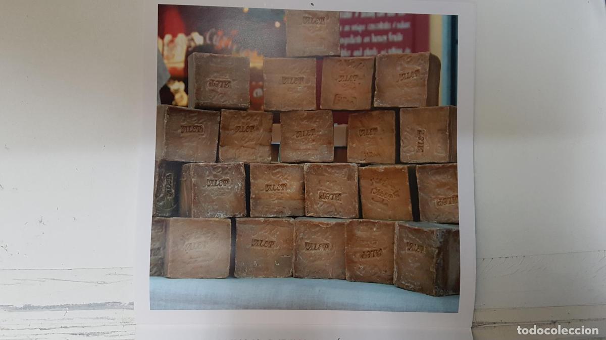 Postales: Calendario / Kalender / Calendrier / Calendar: 2011 : Provence (Roberto della vite) - lamina 12 - va