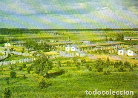 Postais: POSTAL PV04532: Plan Genetico en Valle de Picadura, La Habana. Cuba - NULL