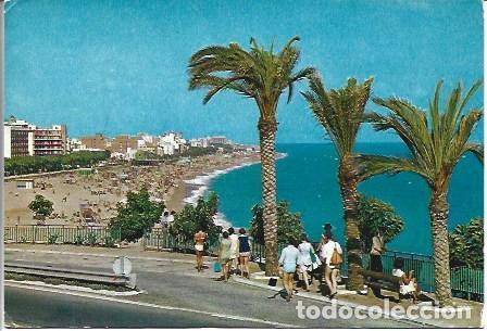 Postkarten: POSTAL A4129: Playa y palmeral de Calella, Barcelona - NULL