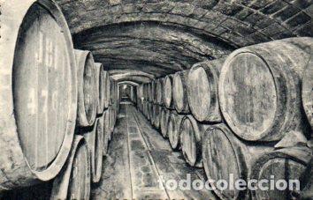 Postales: POSTAL PV06554: Cavas Codorniu. Vinos en crianza (ver descripcion) - NULL