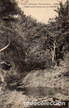 Postkarten: POSTAL PV06870: Oasis aux environs de Dakar, Senegal - NULL
