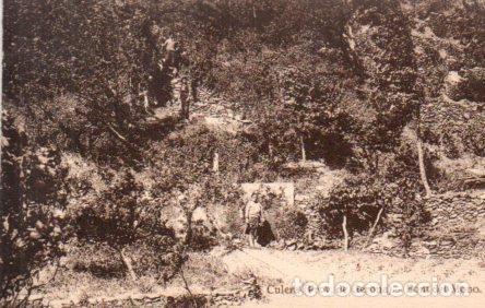 Postales: POSTAL PV06156: Font del Mono en Culera, Gerona - NULL