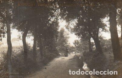 Postais: POSTAL PV06049: Passeig entre can Cuadras y can Blanch, Arbucias