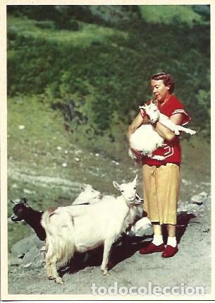 Postkarten: POSTAL A5239: Ni&ntilde;o con ovejas en Noruega - NULL