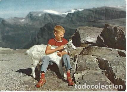 Cartoline: POSTAL A5235: Ni&ntilde;o en Noruega