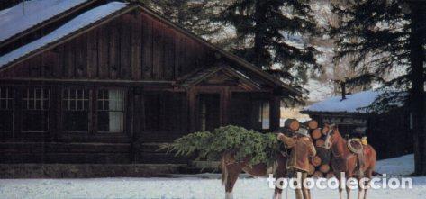 Postales: POSTAL PV07374: Publicidad Marlboro world vaquero cargando un arbol sobre un caballo - NULL