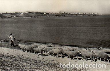 Postkarten: POSTAL PV07560: Riells y La Escala al fondo, Gerona - NULL