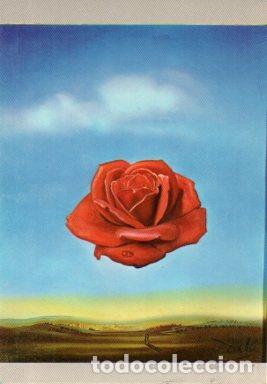 Postales: POSTAL PV07690: Rosa meditativa, Teatro Museo Dali en Figueras - NULL